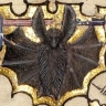 Most Resplendent Bat