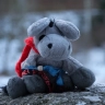 Timothy