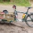 Ranga Kullenga :verified: